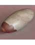 Galet Shiva lingam 280 g