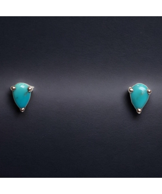Boucles Turquoise serties Argent 925