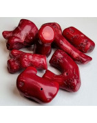 Pierre percée Corail rouge brute