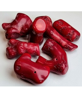 Pierre percée Corail rouge brute