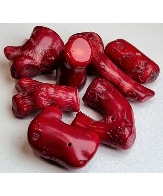 Pierre percée Corail rouge brute