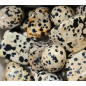Pierre roulée Jaspe Dalmatien