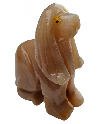 Chien Onyx sable