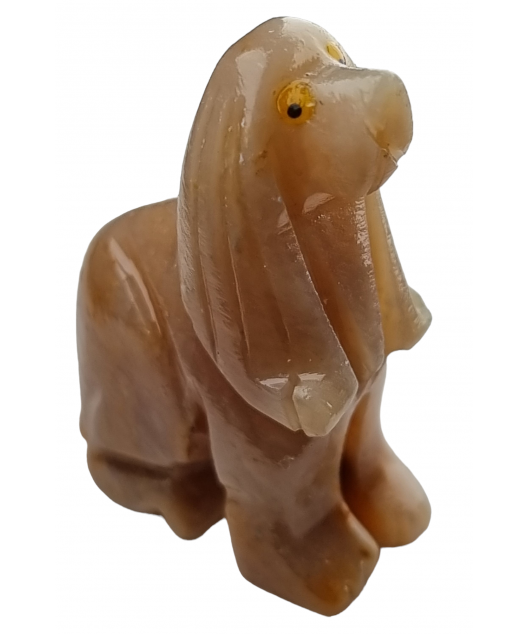 Chien Onyx sable