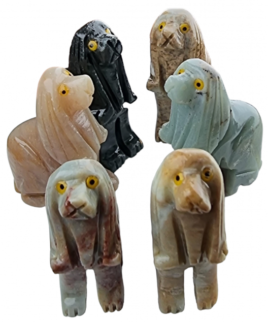 Chien Onyx bleue