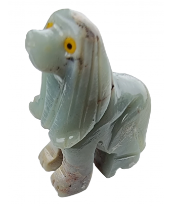 Chien Onyx bleue