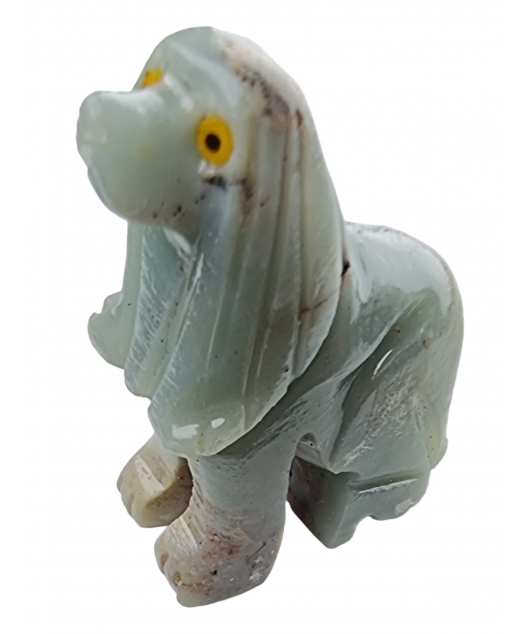 Chien Onyx bleue
