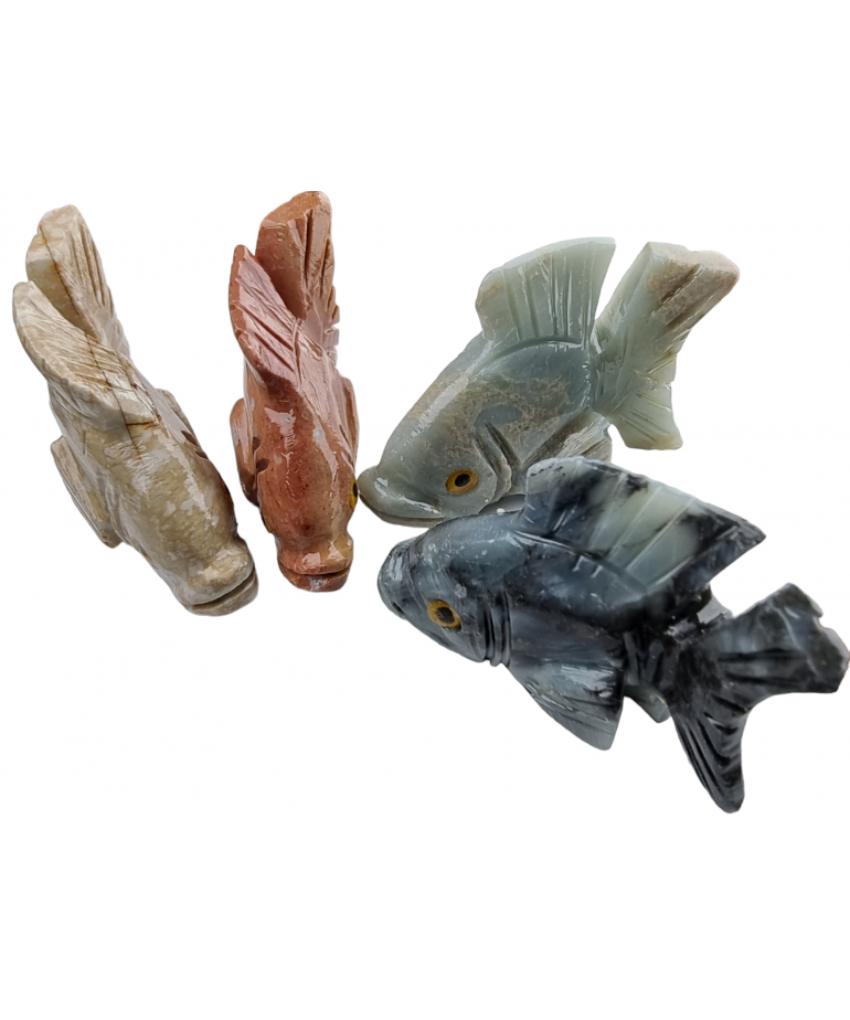 Poisson Onyx bleue
