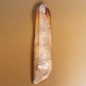 Cristal Citrine biterminé 16g