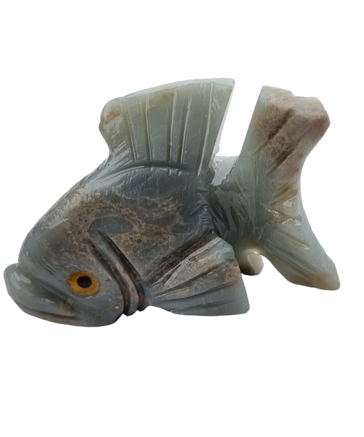 Poisson Onyx bleue