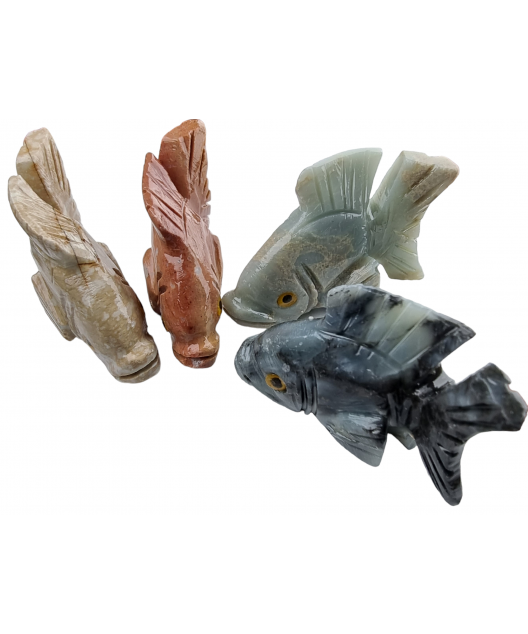 Poisson Onyx grise