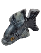 Poisson Onyx grise