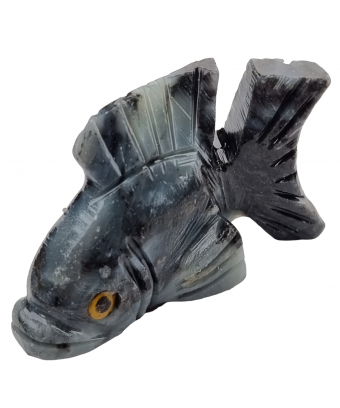 Poisson Onyx grise