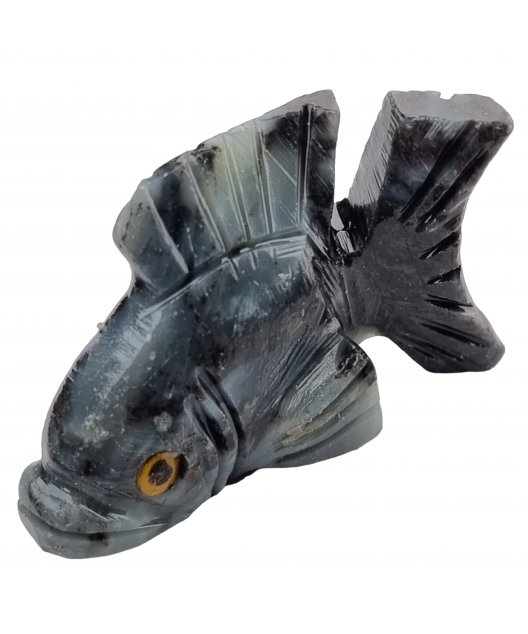 Poisson Onyx grise