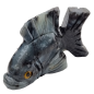 Poisson Onyx grise