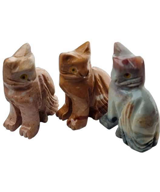 Chat Onyx marron