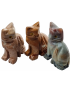 Chat Onyx bleue
