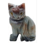 Chat Onyx bleue