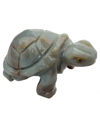 Tortue Onyx bleue