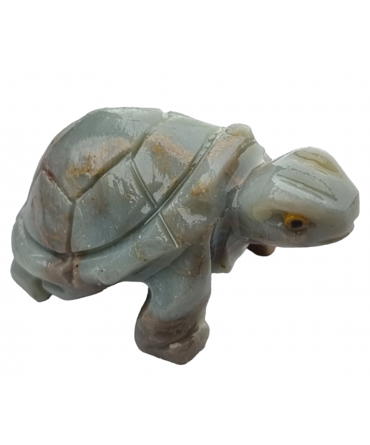 Tortue Onyx bleue