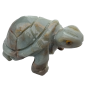 Tortue Onyx bleue