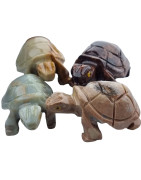 Tortue Onyx bleue