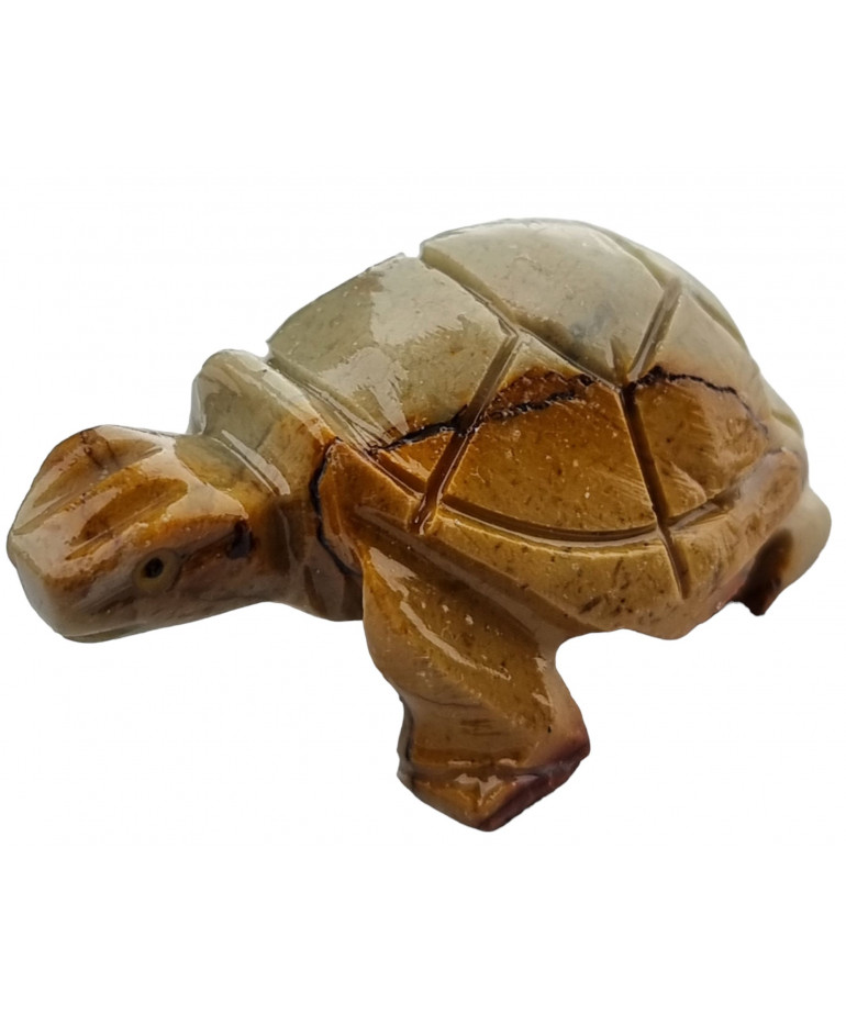 Tortue Onyx beige