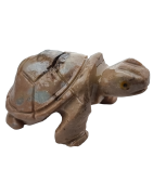 Tortue Onyx beige