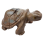 Tortue Onyx beige