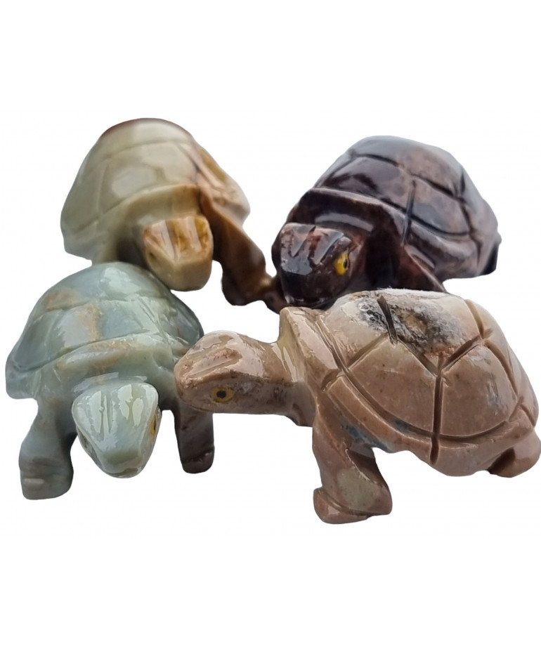 Tortue marron Onyx glacé