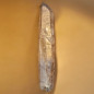 Cristal Citrine biterminé 20g