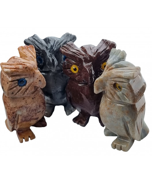 Chouette Onyx grise
