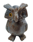 Chouette Onyx bleue