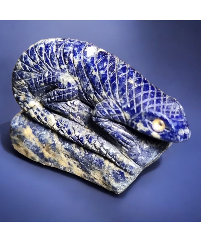 Salamandre Lapis-lazuli 46g