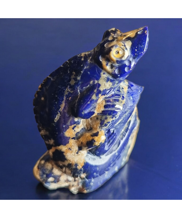 Salamandre Lapis-lazuli 66g