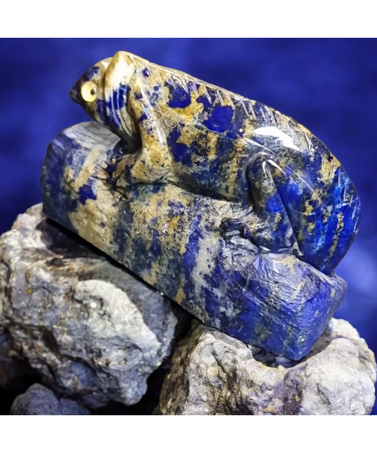 Salamandre Lapis-lazuli 40g