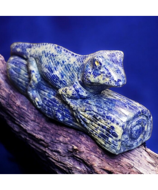 Lézard Lapis-lazuli 186g