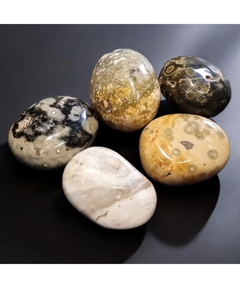 Pierre roulée Jaspe orbiculaire ou Rhyolite