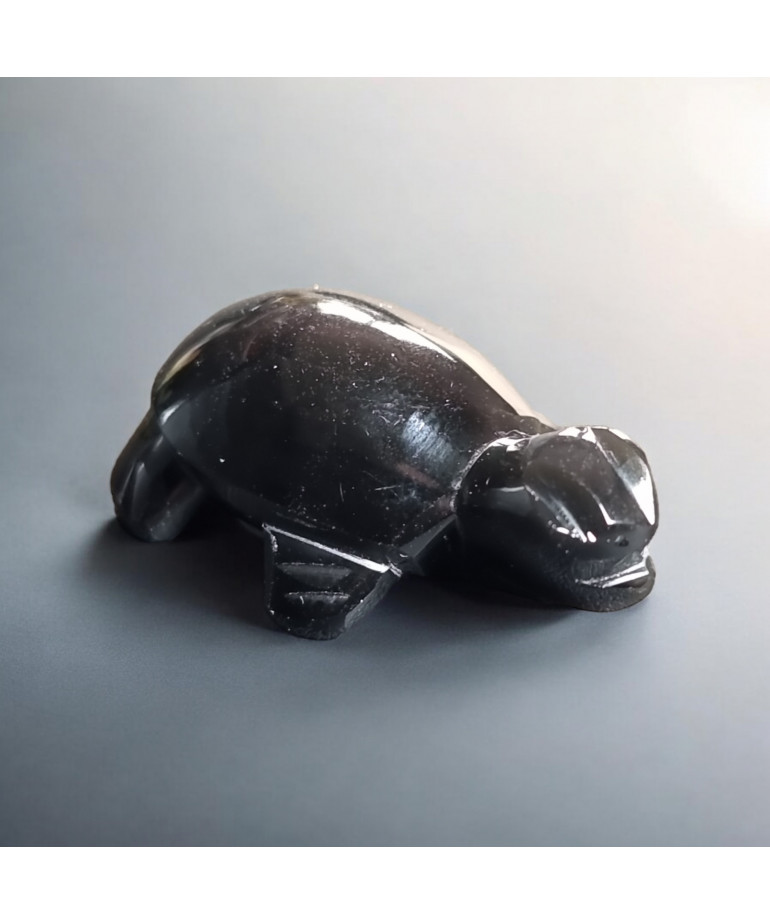 Tortue Obsidienne Œil céleste 3cm