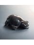 Tortue Obsidienne Œil céleste 3cm