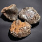 Pierre brute Météorite 1g