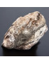 Pierre brute Météorite 2g