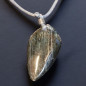 Pendentif Labradorite sur cordon réglable