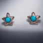 Boucles Turquoise Etoile de mer Argent 925