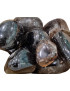 Pierre roulée Quartz fumé