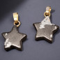 Pendentif Obsidienne neige Etoile