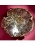 Bois fossilisé 2232g