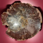 Bois fossilisé 2232g