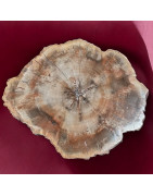 Bois fossilisé 1088g
