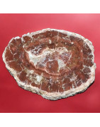 Bois fossilisé 1607g